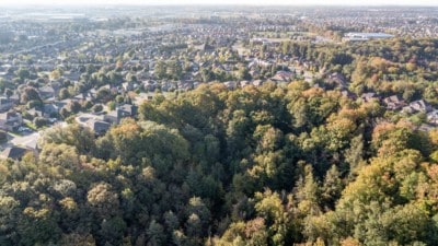 Aerial view of Ardagh neighborhood.