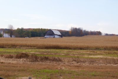 Farmer's field in Springwater.