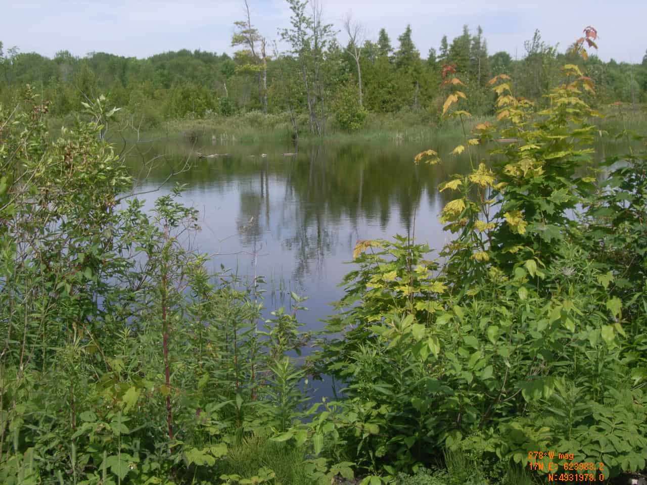 Experience walking trails in Simcoe Muskoka Your North Life Simcoe