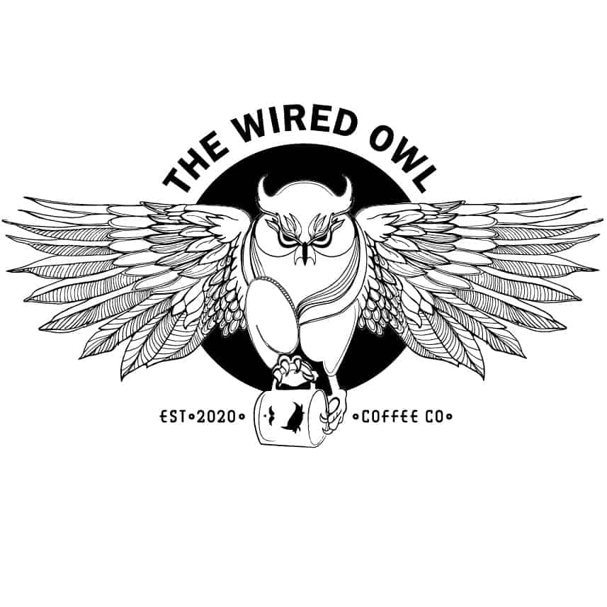 wired owl logo